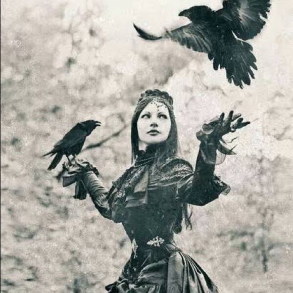 Meet your Posher, Erin - Picture 1 of 1